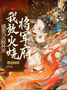 成亲当天被休的小说